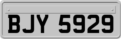 BJY5929