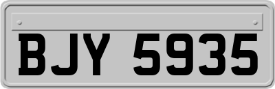 BJY5935