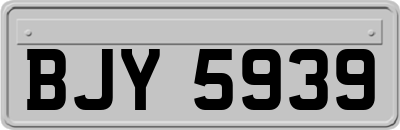 BJY5939