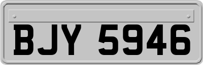 BJY5946