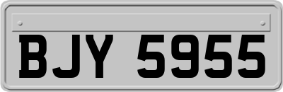 BJY5955