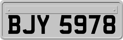 BJY5978
