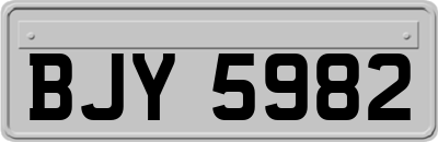 BJY5982