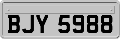 BJY5988