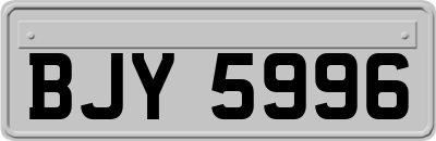 BJY5996