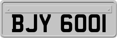 BJY6001