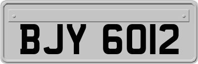 BJY6012