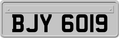 BJY6019