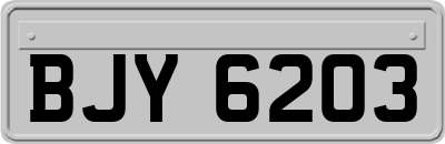 BJY6203