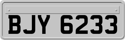 BJY6233