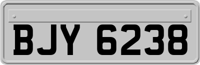BJY6238