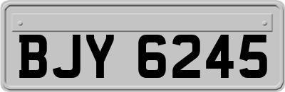 BJY6245