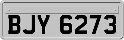 BJY6273