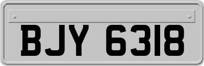 BJY6318