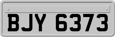 BJY6373
