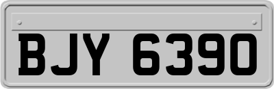 BJY6390