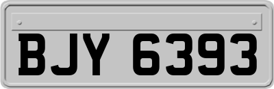 BJY6393