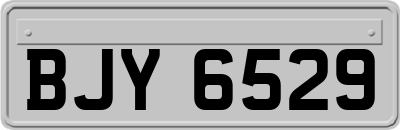 BJY6529