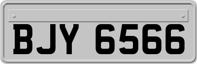 BJY6566