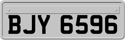 BJY6596