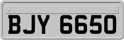 BJY6650