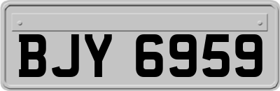 BJY6959