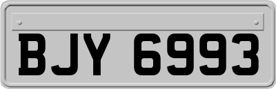 BJY6993