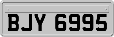 BJY6995