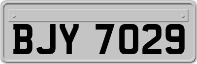BJY7029