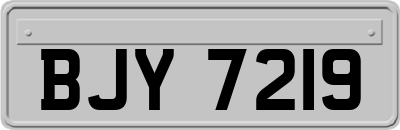 BJY7219