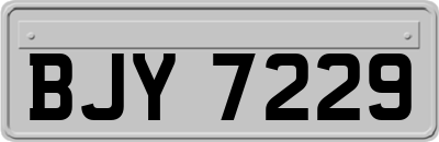 BJY7229