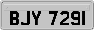 BJY7291
