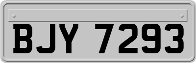 BJY7293