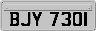 BJY7301