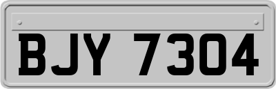 BJY7304