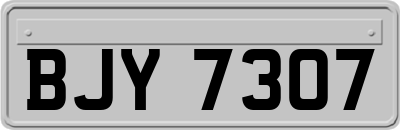 BJY7307