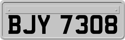 BJY7308