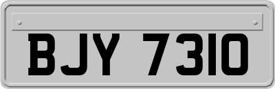 BJY7310