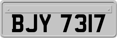 BJY7317
