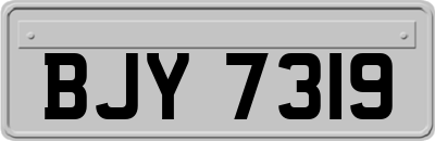 BJY7319