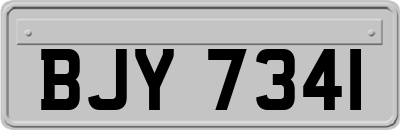 BJY7341