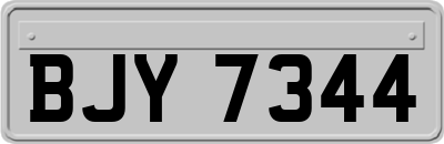 BJY7344