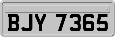 BJY7365