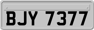 BJY7377