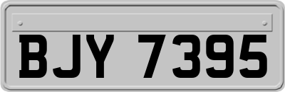 BJY7395