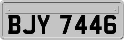 BJY7446