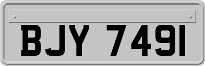 BJY7491