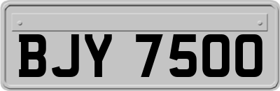 BJY7500