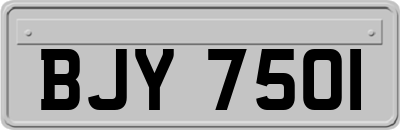 BJY7501