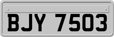 BJY7503